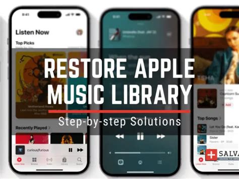 If I Cancel Apple Music, What Happens to My Playlists: An Insightful Exploration